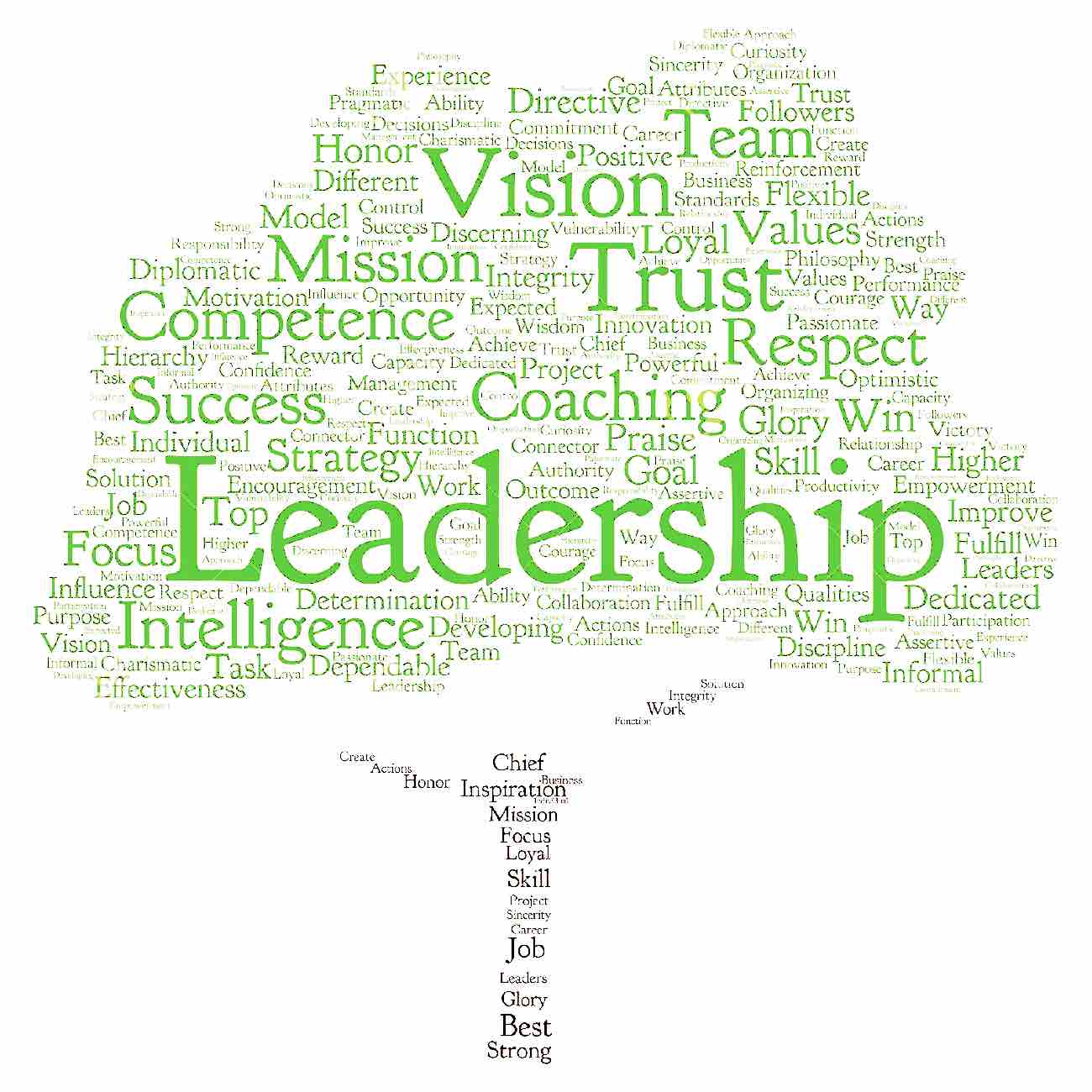 Leadership = what is leadership?